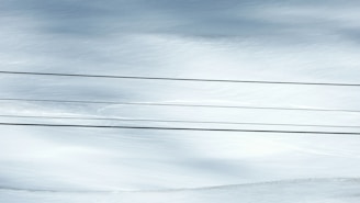 Three parallel telephone or power lines stretch across a snowy landscape, with soft snowdrifts visible in the background.