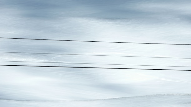 Three parallel telephone or power lines stretch across a snowy landscape, with soft snowdrifts visible in the background.