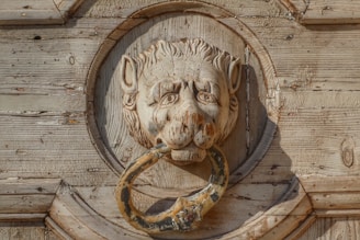 A detailed wooden carving of a lion's head, mounted on a rustic wooden door. The lion is gripping a large metal ring in its mouth, reminiscent of a traditional door knocker.