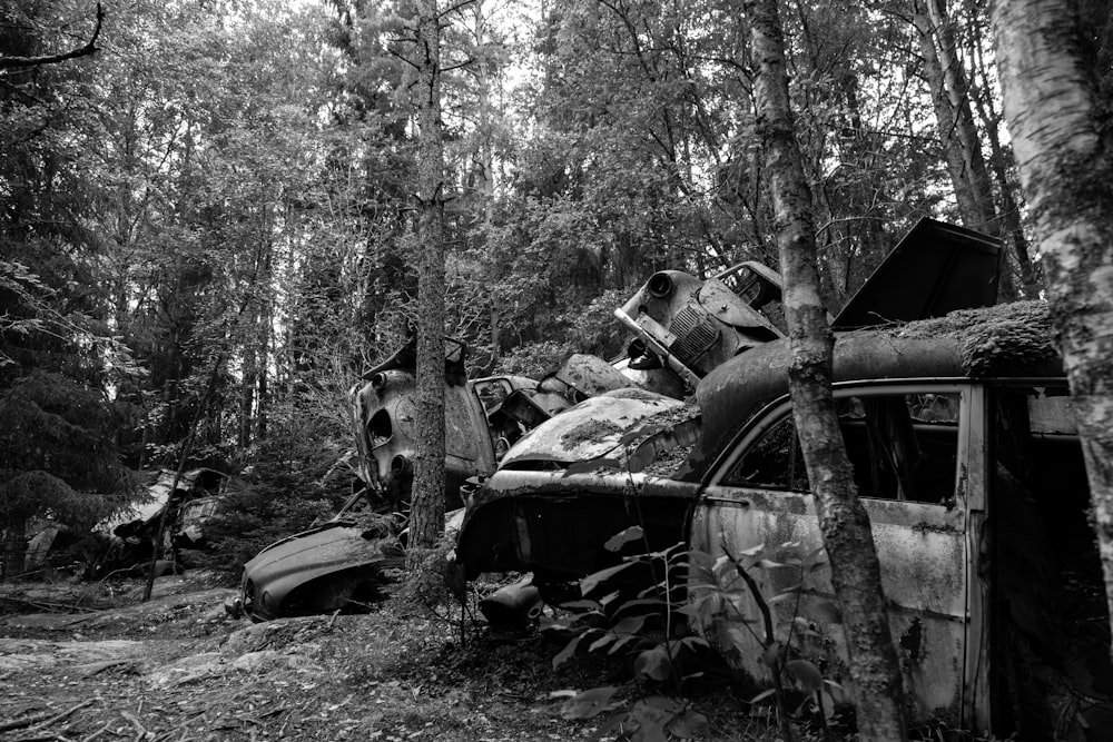 wrecked cars near trees