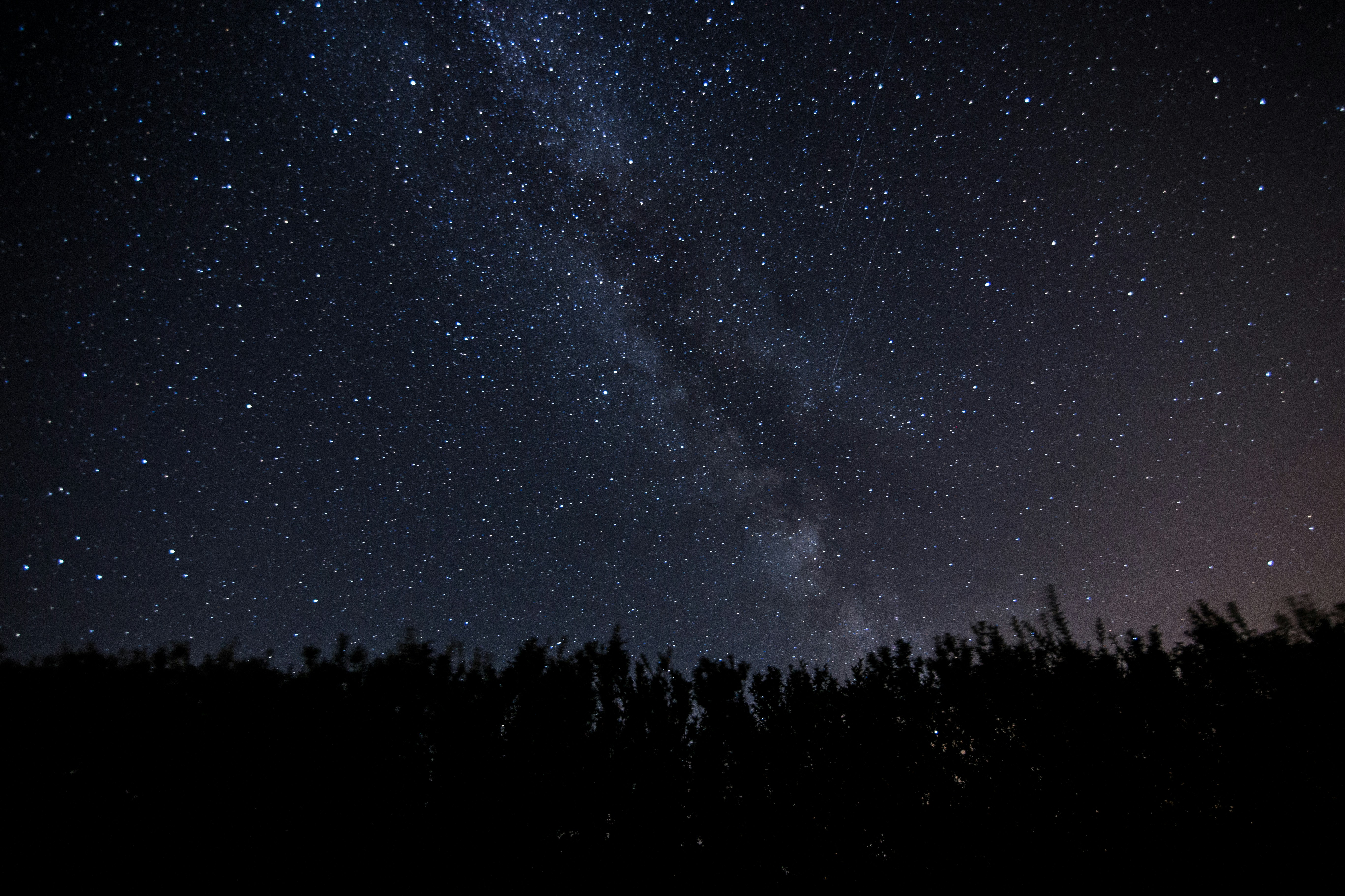 Photo by lamnatheshark