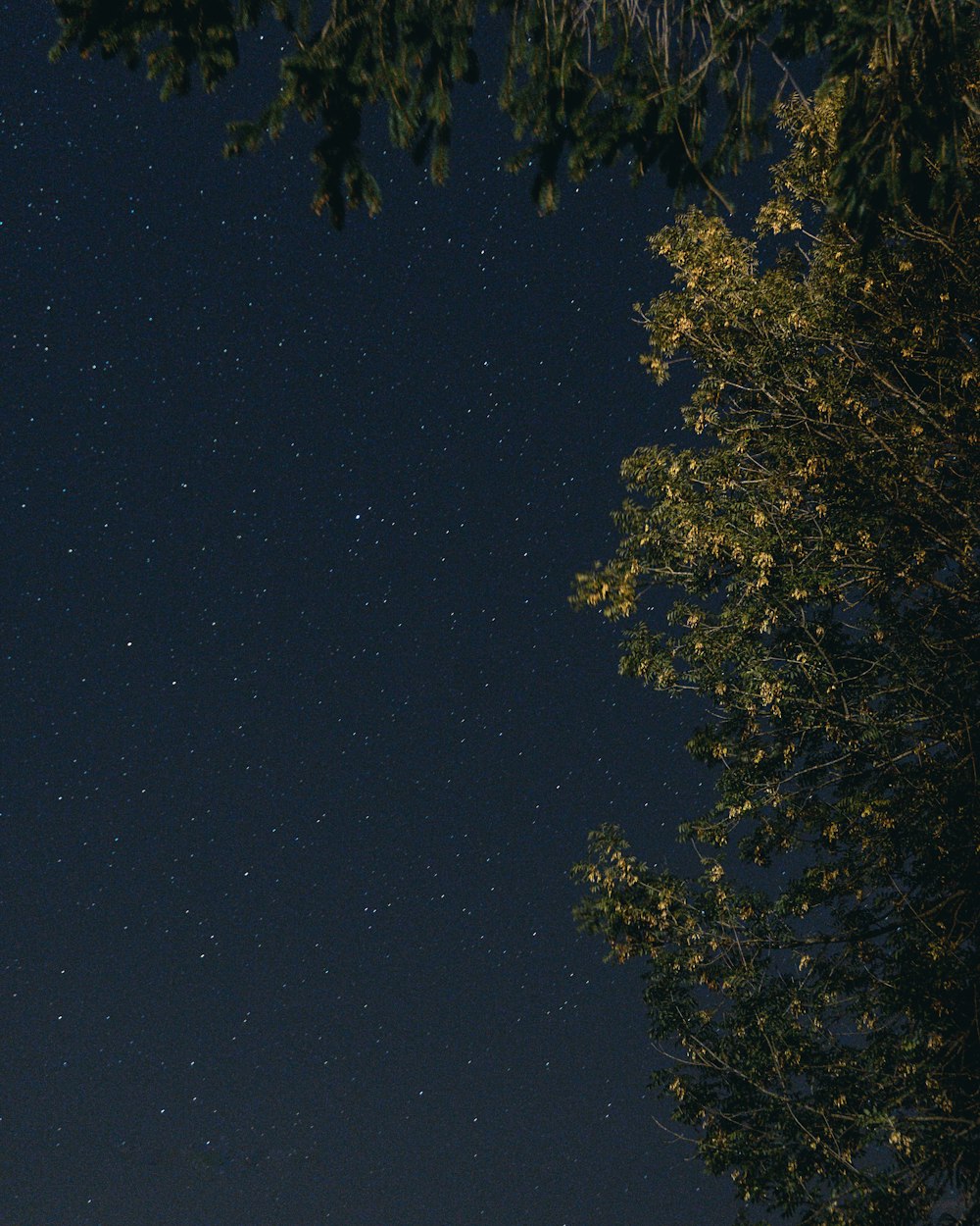 low-angle photography of sky