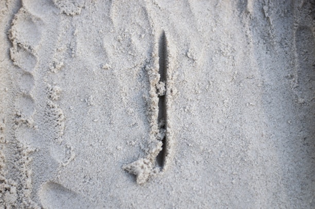 A close-up of sand with a straight, deep groove running vertically through the center. The sand appears fine and uniformly colored, with various subtle textured patterns and ridges forming along the edges of the groove.