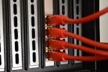 A set of four red Ethernet cables plugged into a network switch, with visible LED indicators showing their operational status. The switch has a metallic, perforated design with slots for cooling or ventilation.