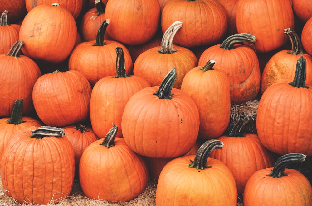 orange pumpkin on brown grass