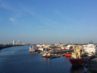 A calm harbor scene with cargo ships docked under a clear sky, symbolizing smooth shipping processes.