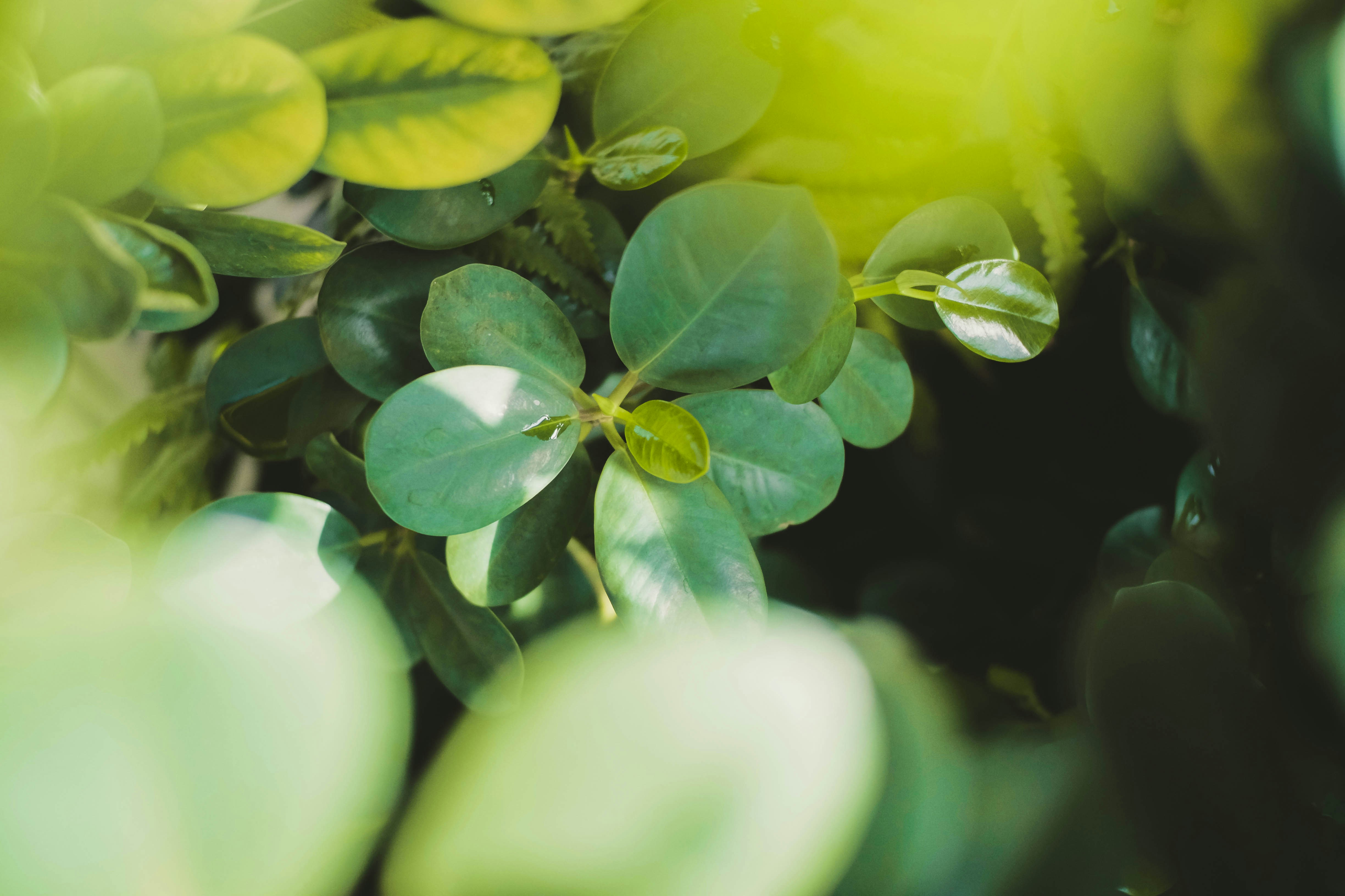 Photo by rainierridao