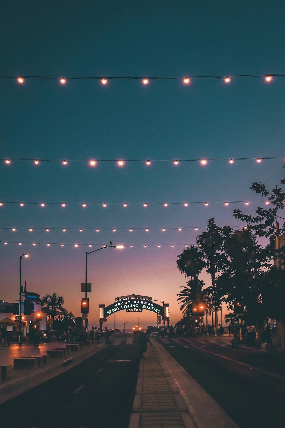 asphalted road at night with string lights on