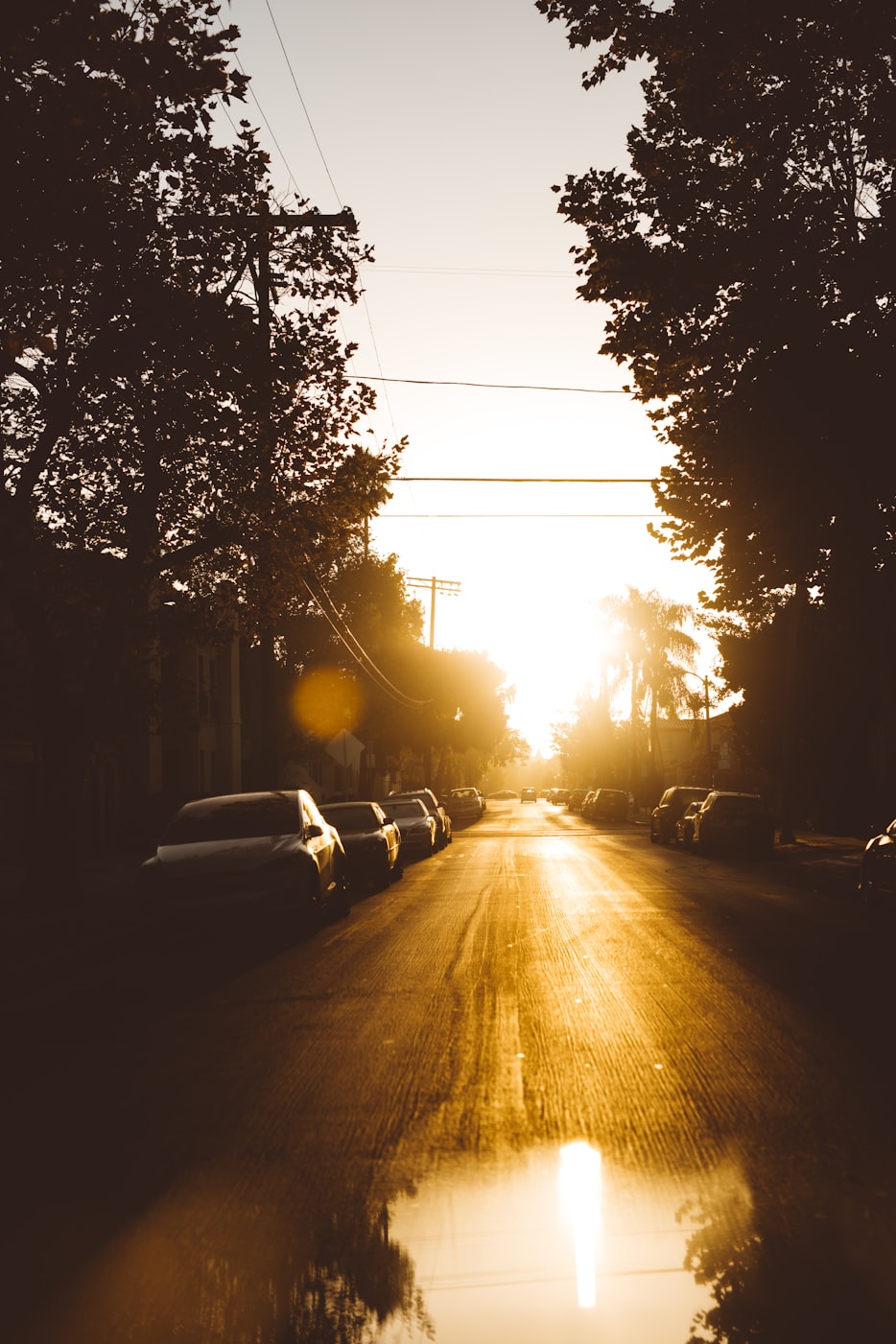 a street in West Hollywood, California