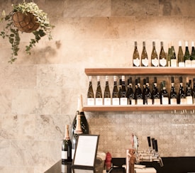 A wall-mounted wooden shelf displaying an assortment of wine bottles. Beneath the shelf, there is a countertop with wine glasses hanging upside down and a few large champagne bottles. A decorative green potted plant hangs from the ceiling to the left, and a few beer taps are visible on the counter, along with a framed menu.