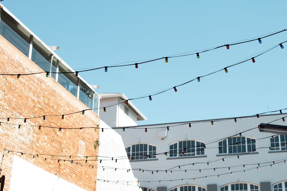 string lights near building during daytime