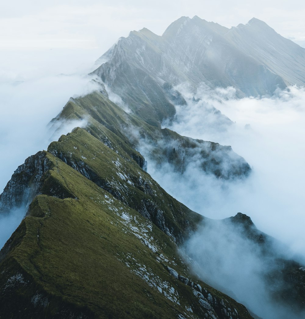 Montagna nebbiosa