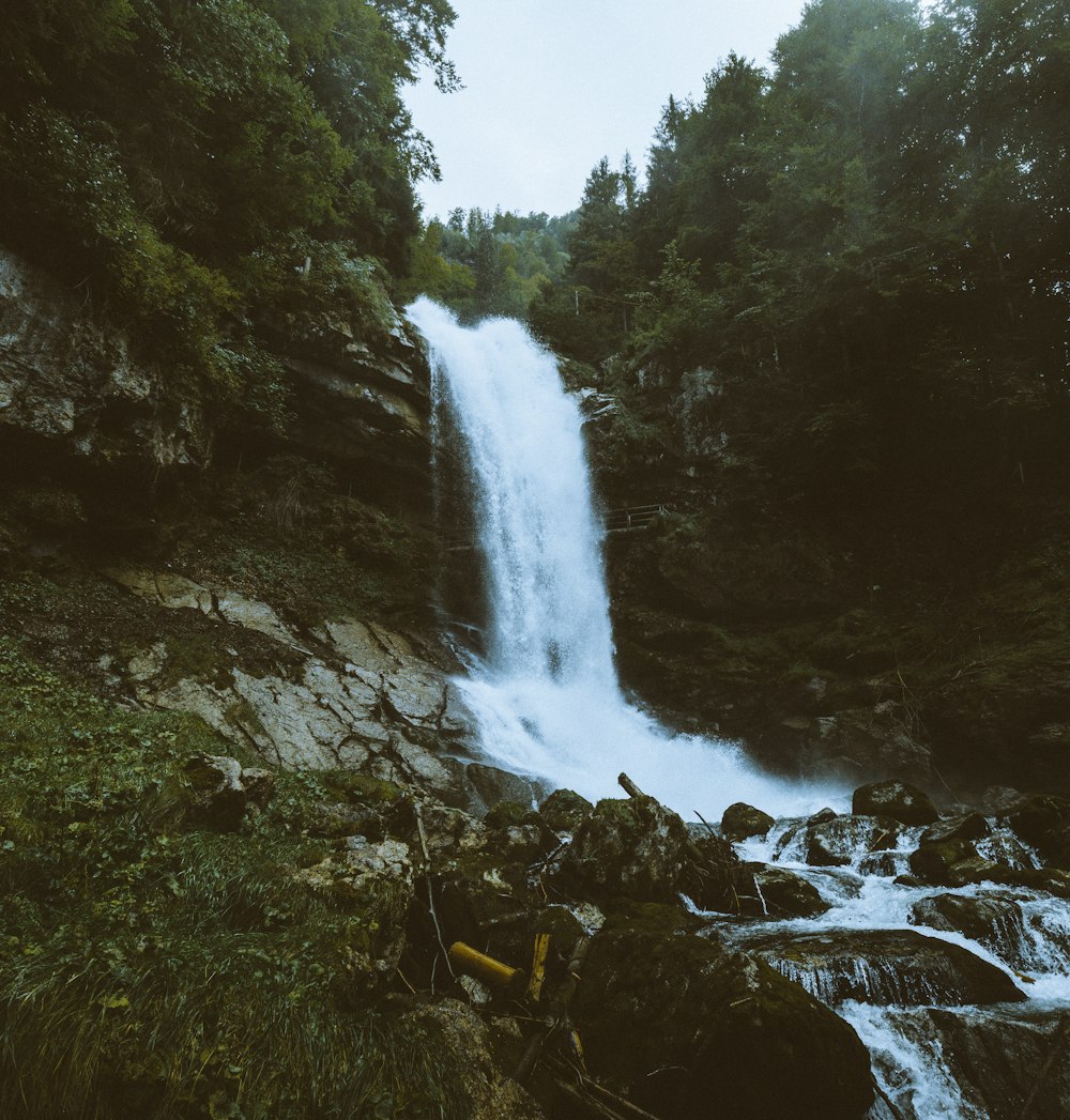 waterfalls surrounded by trees during daytime