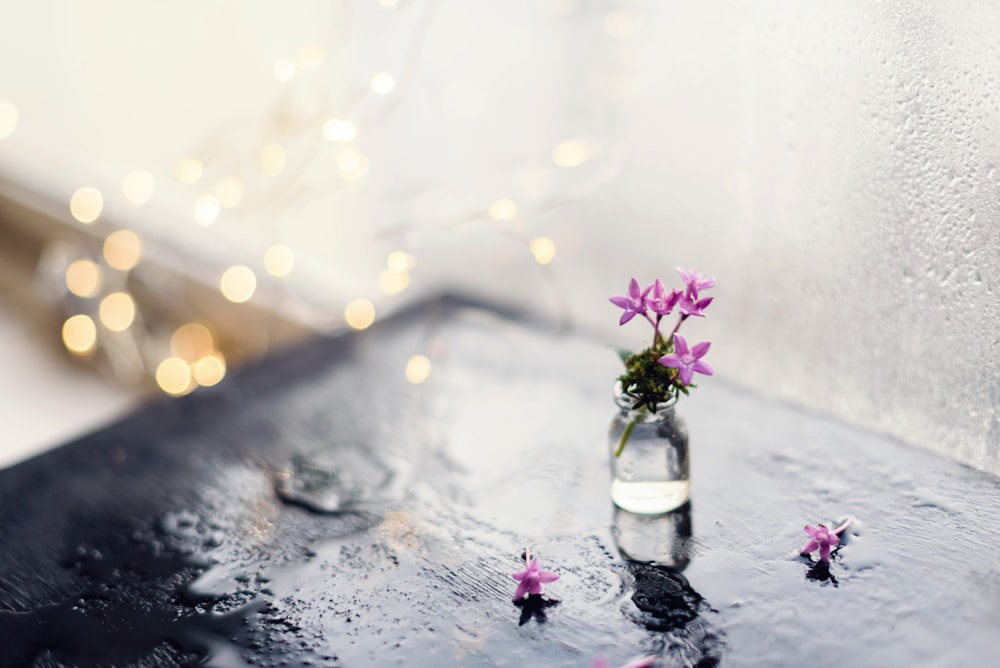 a glass vase with some flowers in it