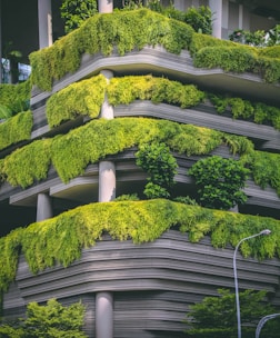 hedge in tower