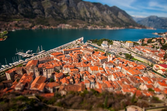 bird's-eye view photography of city near water in Kotor Fortress Montenegro