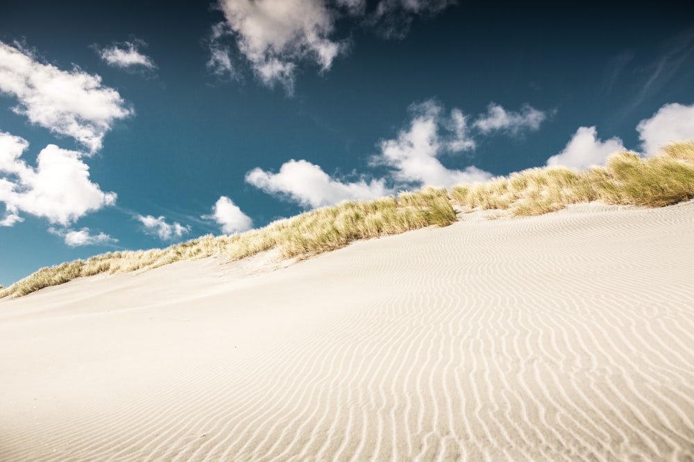 low-angle photography of desert