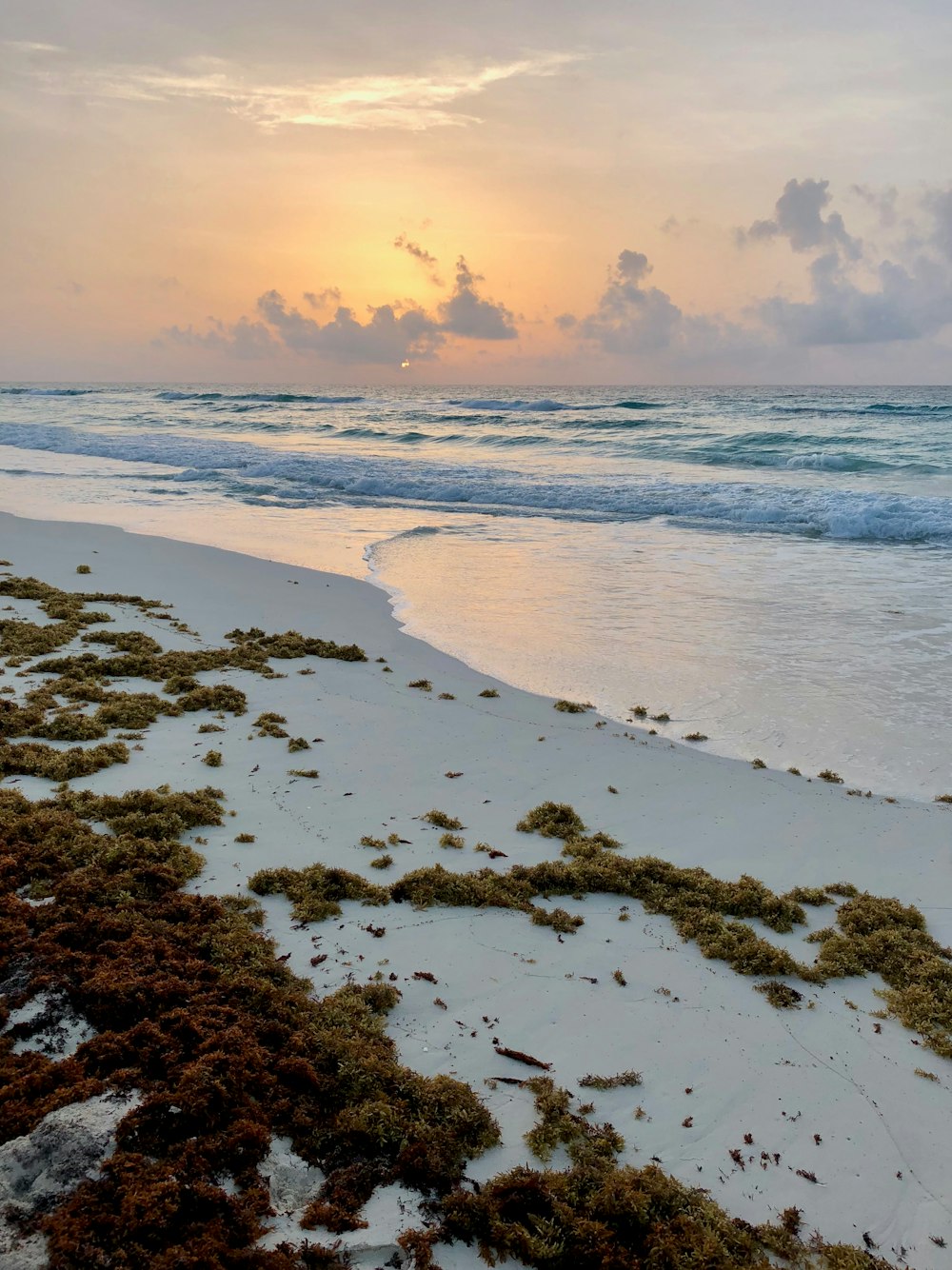 gray sand near sea during sunset
