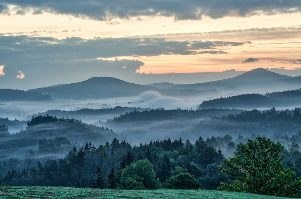 landscape photography of mountains surrounded with trees