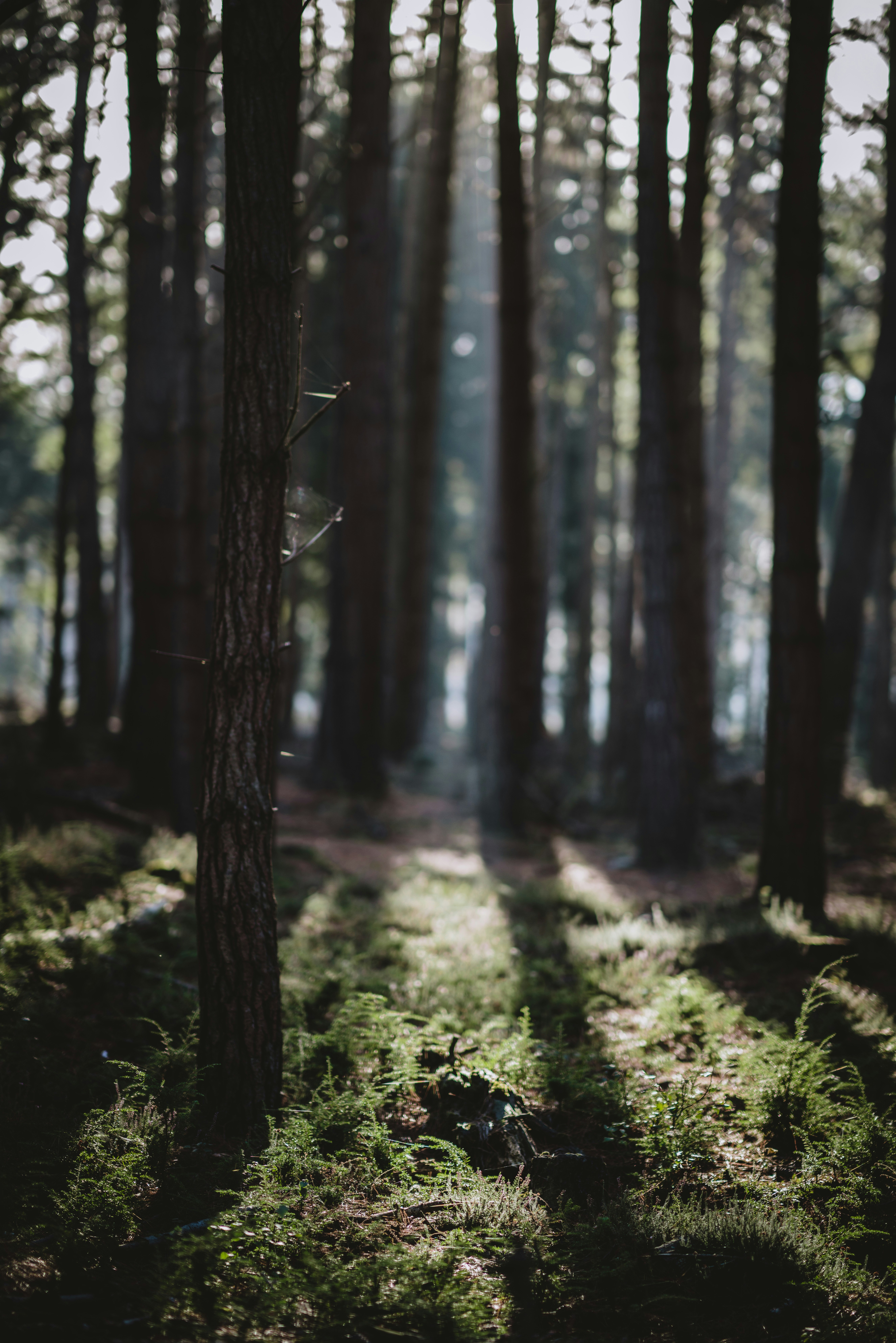 Photo by anniespratt