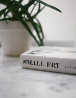 A white hardcover book titled 'Small Fry' by Lisa Brennan-Jobs is placed on a marble surface next to a potted plant with long, green leaves.