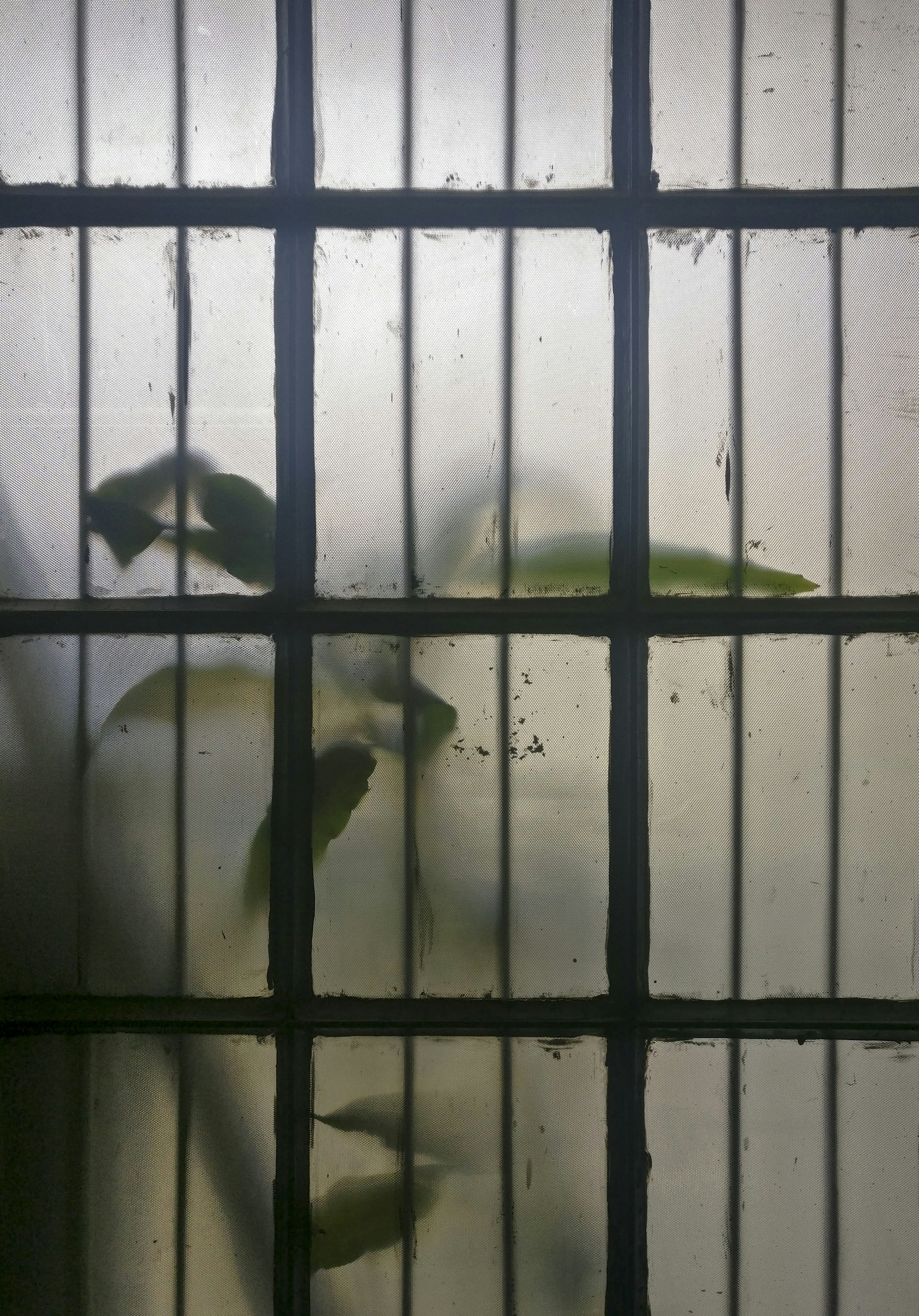 Photo by paragphadnis