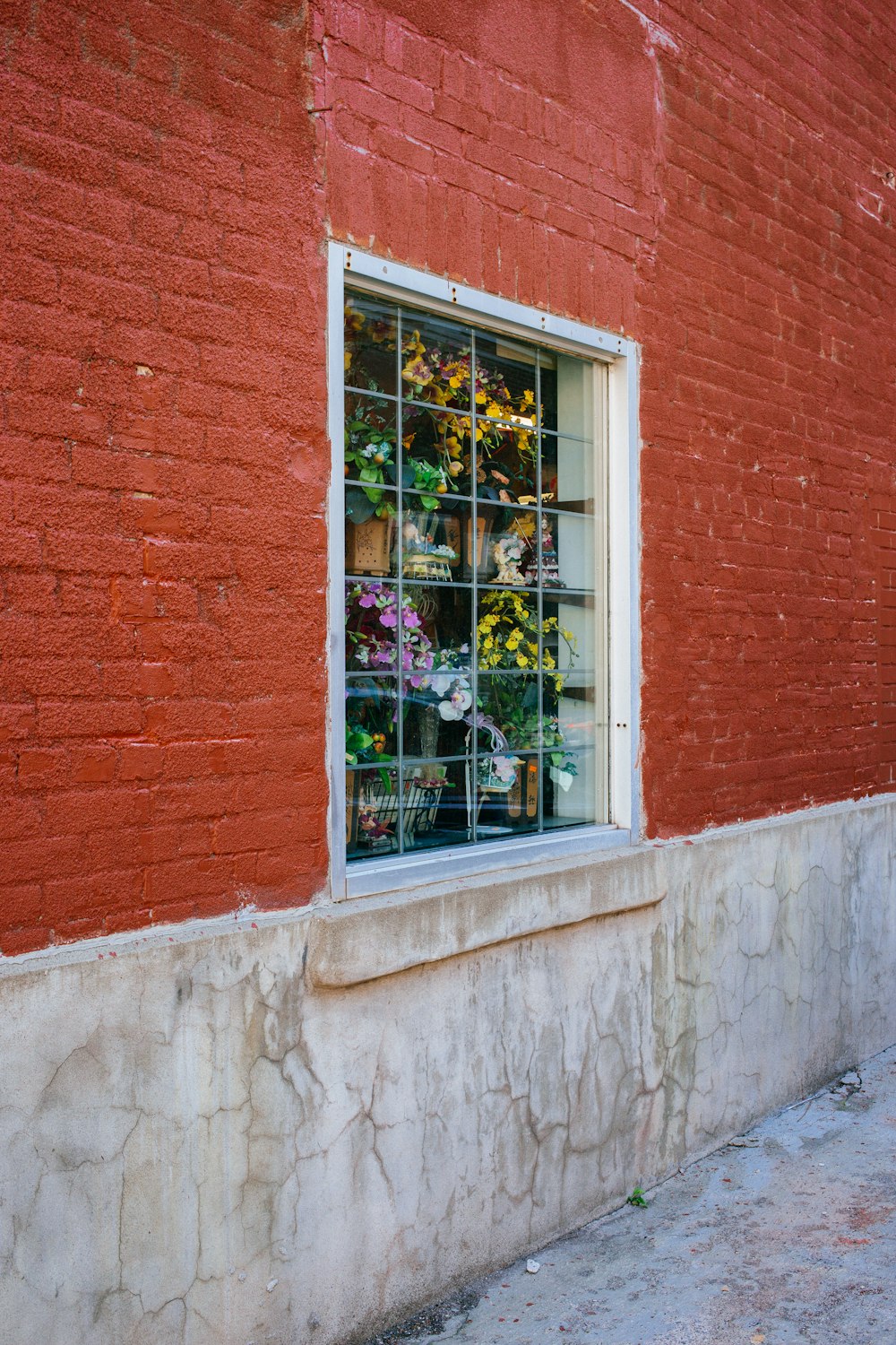 white wooden window with plants on red bricked building