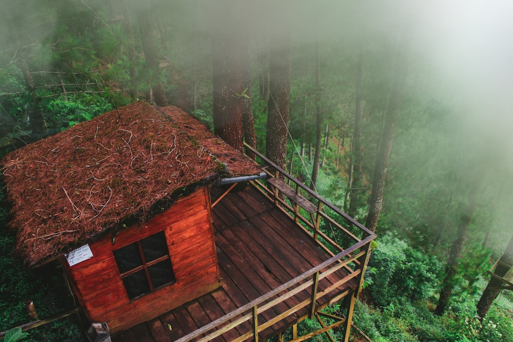 brown tree house surrounded by trees