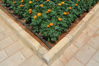 A freshly mulched garden bed bordered by rustic wooden logs with bright orange marigolds.