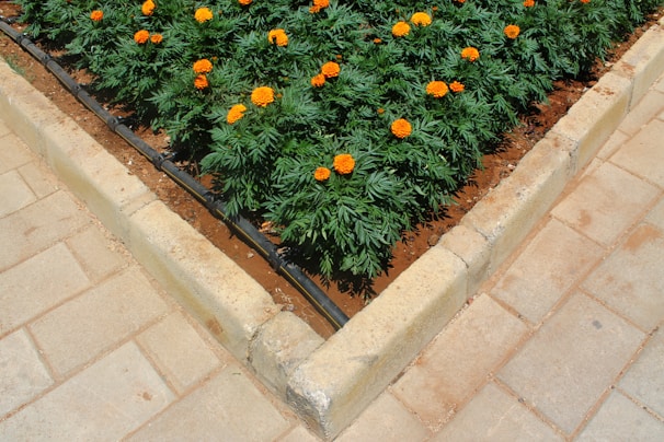 A freshly mulched garden bed bordered by rustic wooden logs with bright orange marigolds.