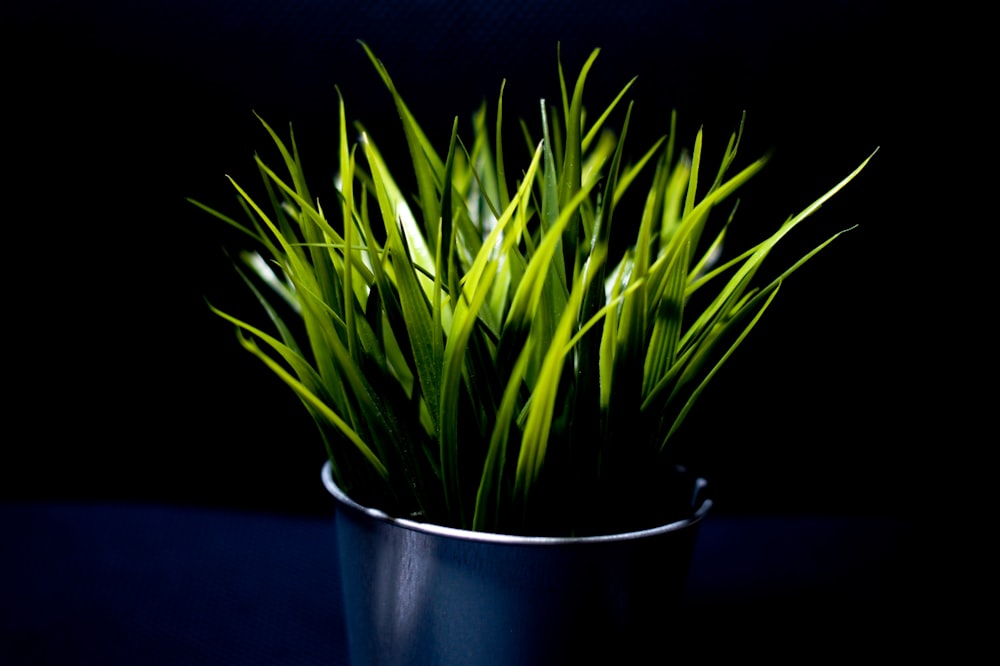 green leaves in grey bucket