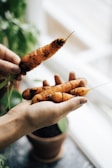A hand is holding freshly harvested carrots with soil still on them, in front of a bright window. In the background, there are green plants and a small terracotta pot.