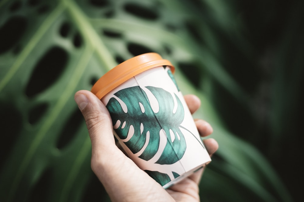 person holding white and green disposable cup