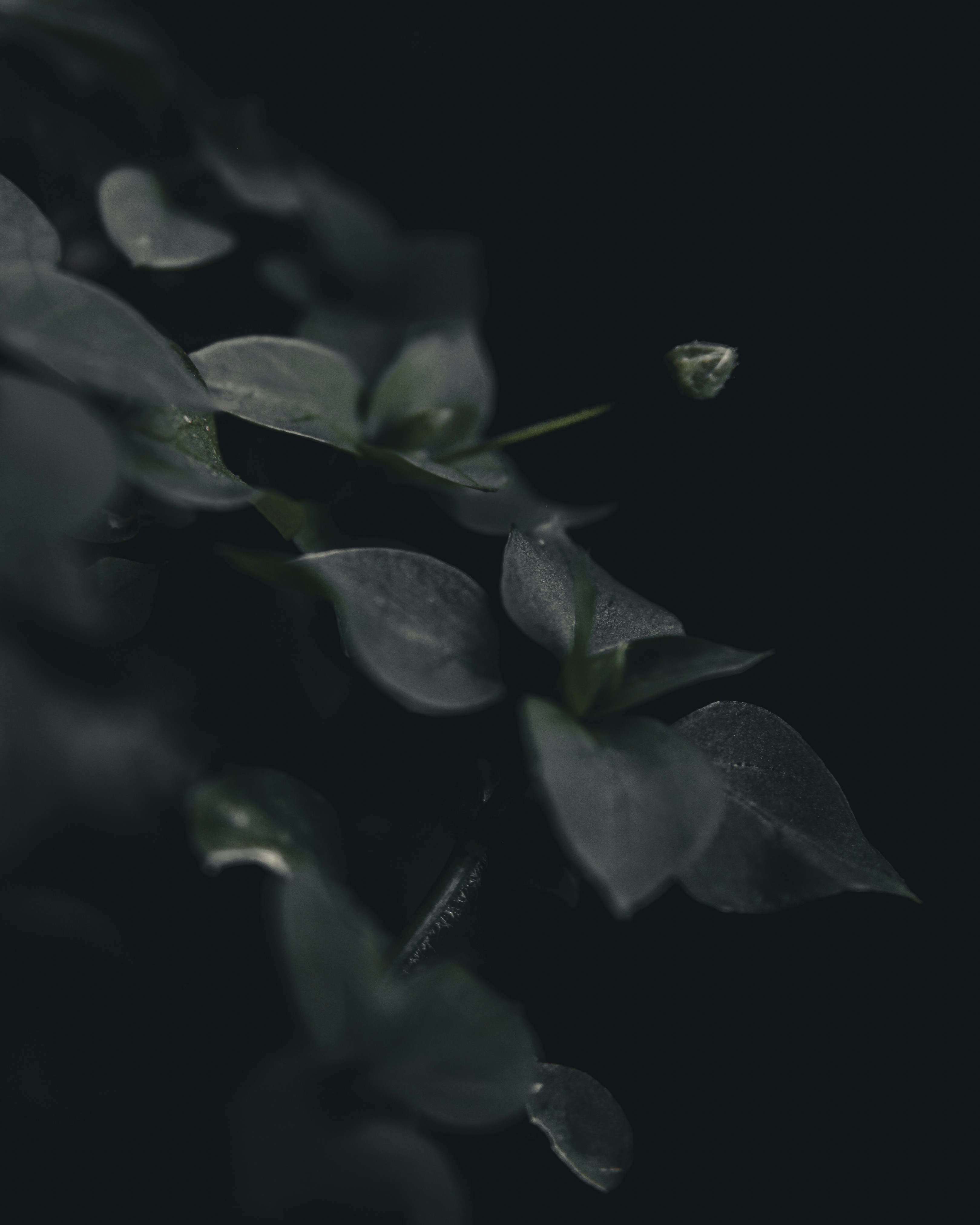 Photo by kirillpershin