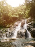 green trees on top of waterfalls