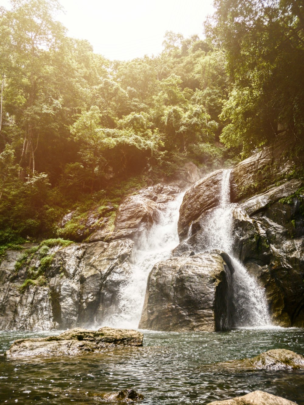 green trees on top of waterfalls