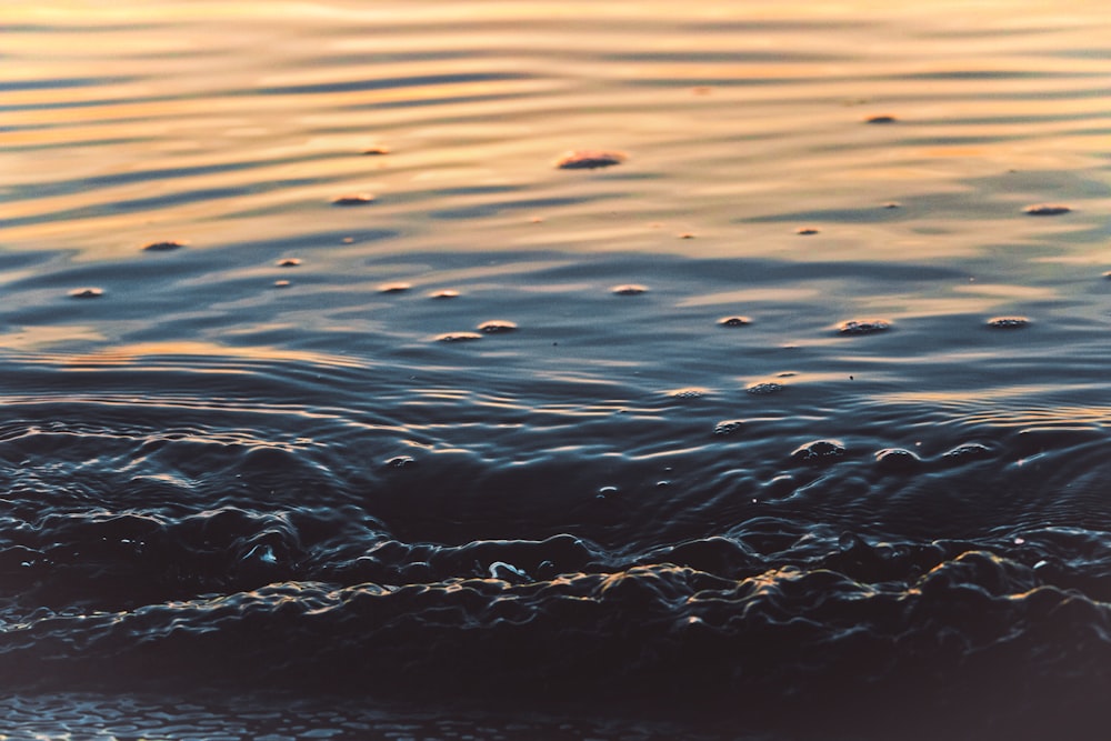 close-up photo of sea water