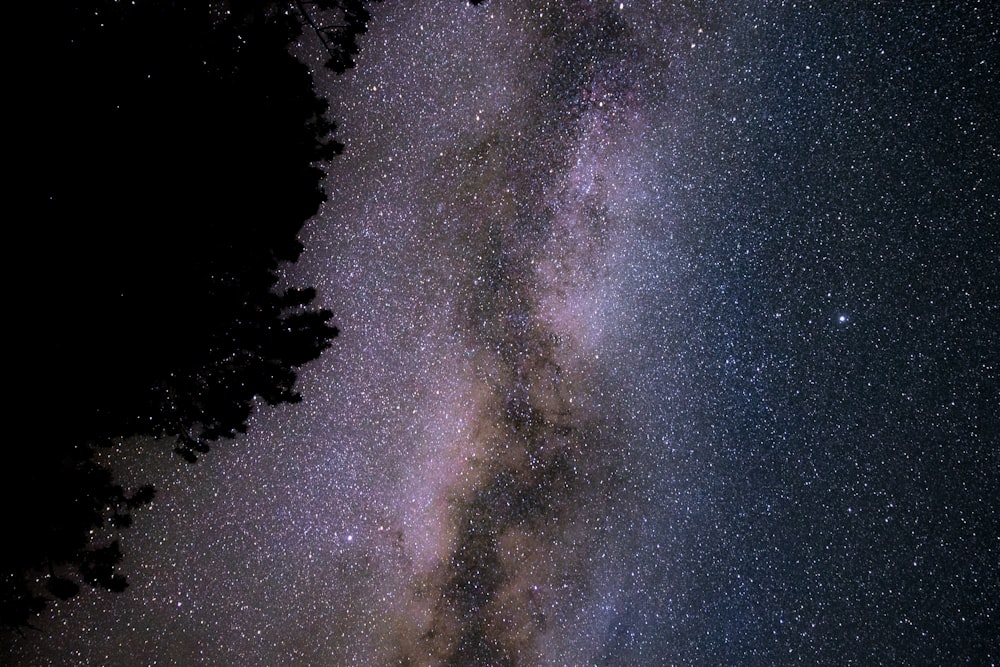 Milky Way galaxy