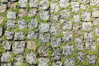 Granite cobblestones are laid in an orderly pattern with vibrant green moss growing between the gaps, creating a natural and textured surface.