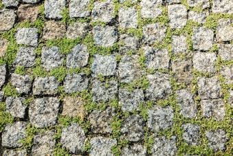 Granite cobblestones are laid in an orderly pattern with vibrant green moss growing between the gaps, creating a natural and textured surface.
