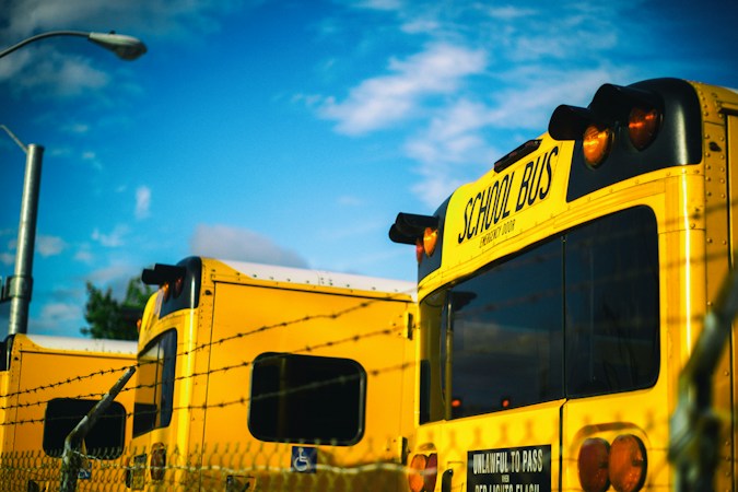 Several yellow school buses parked side by side in a bus yard on a sunny day, waiting for their afternoon routes