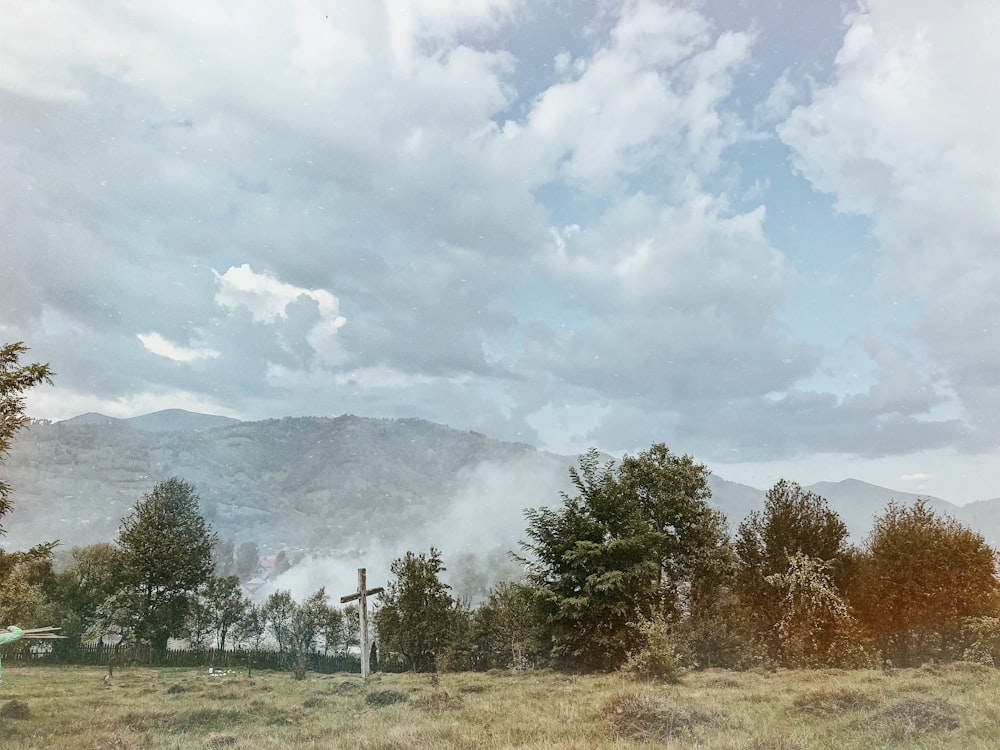 Des arbres verts sous des nuages blancs