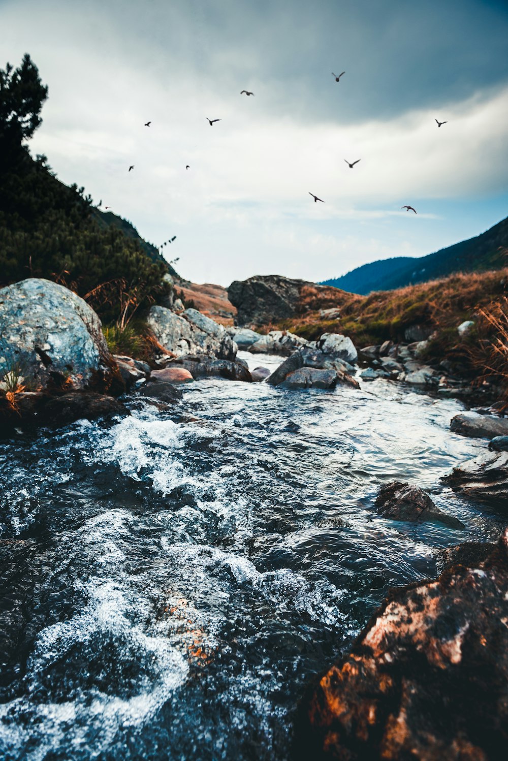 river surrounded by rocks