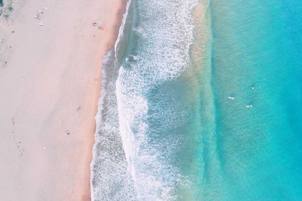 aerial photo of beach