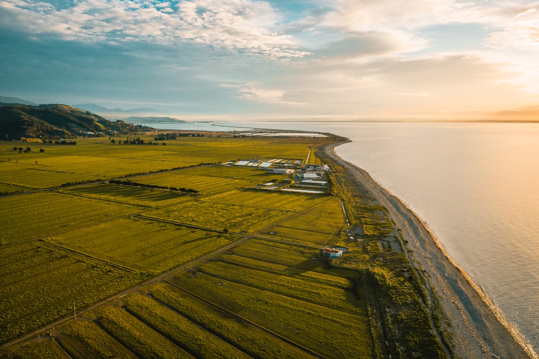 photo of Nelson Plain near Tahunanui Beach