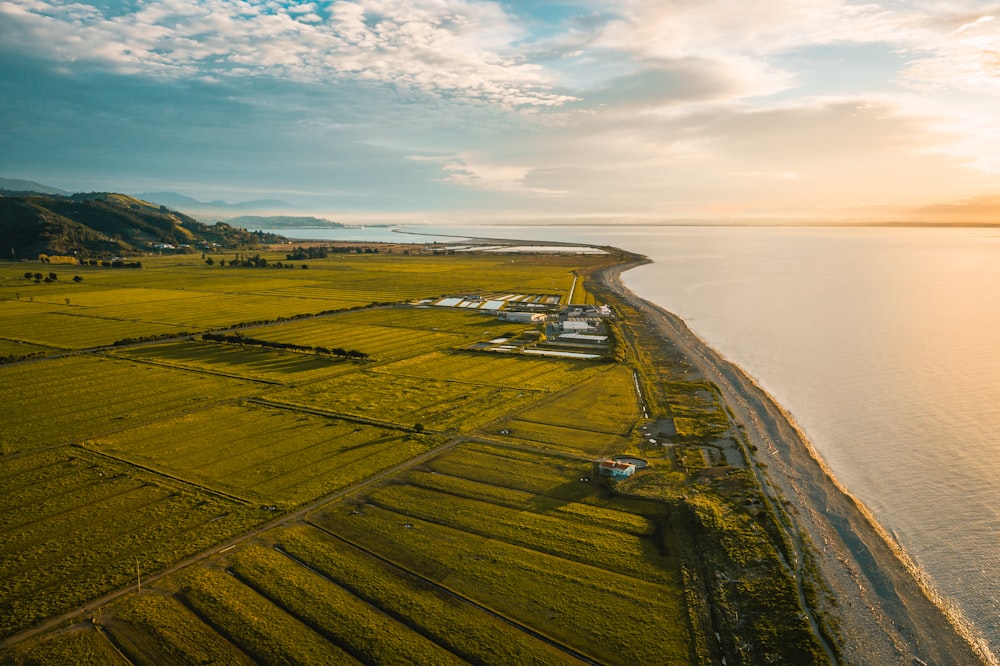 aerial view of green field