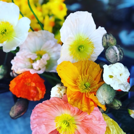 A vibrant bouquet of flowers showcasing various blooms in shades of yellow, orange, pink, and white. The petals are delicate and layered, with prominent stamens in the center. Budding flowers and green pods add texture and contrast to the lively arrangement.