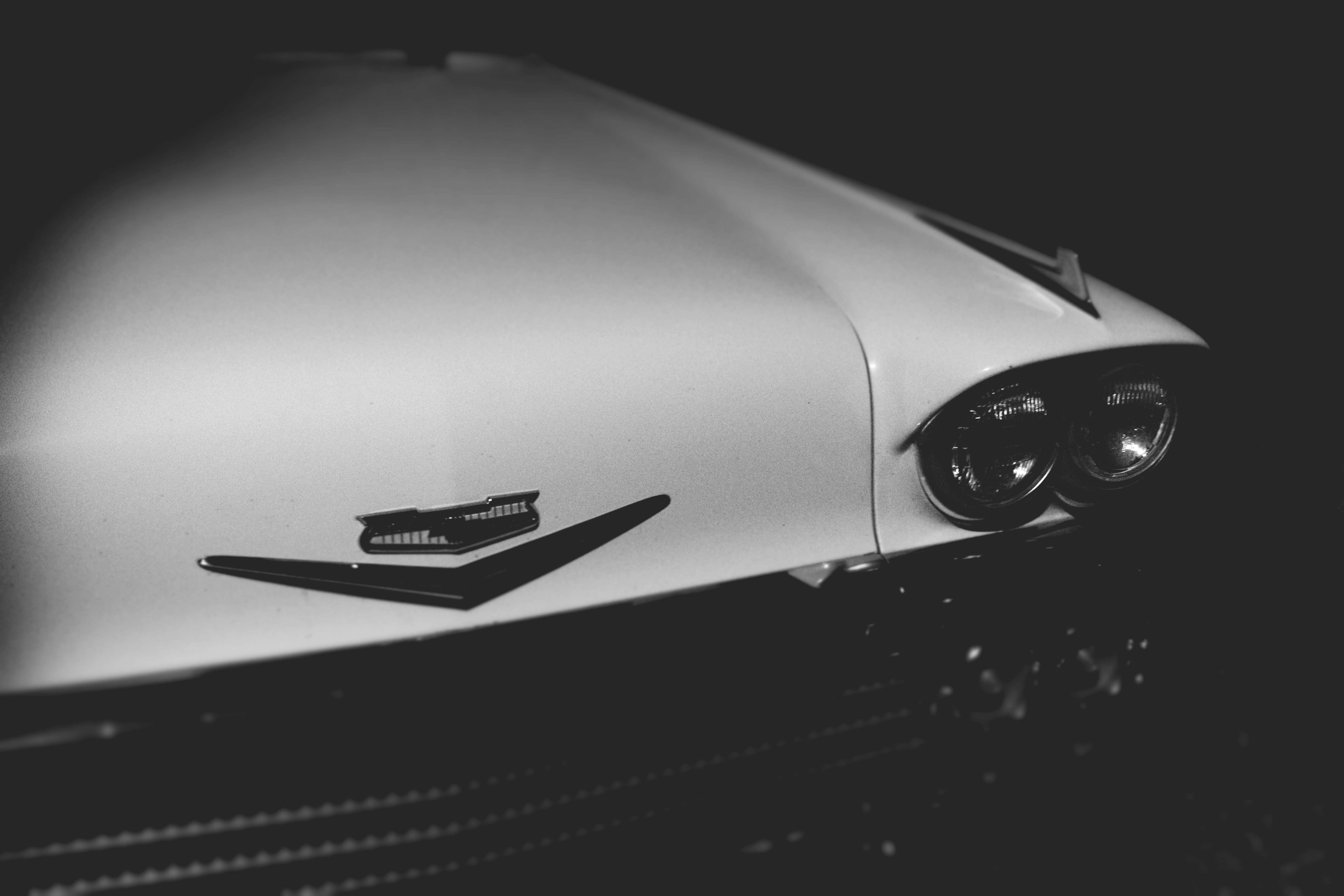 Photo by stefangessert