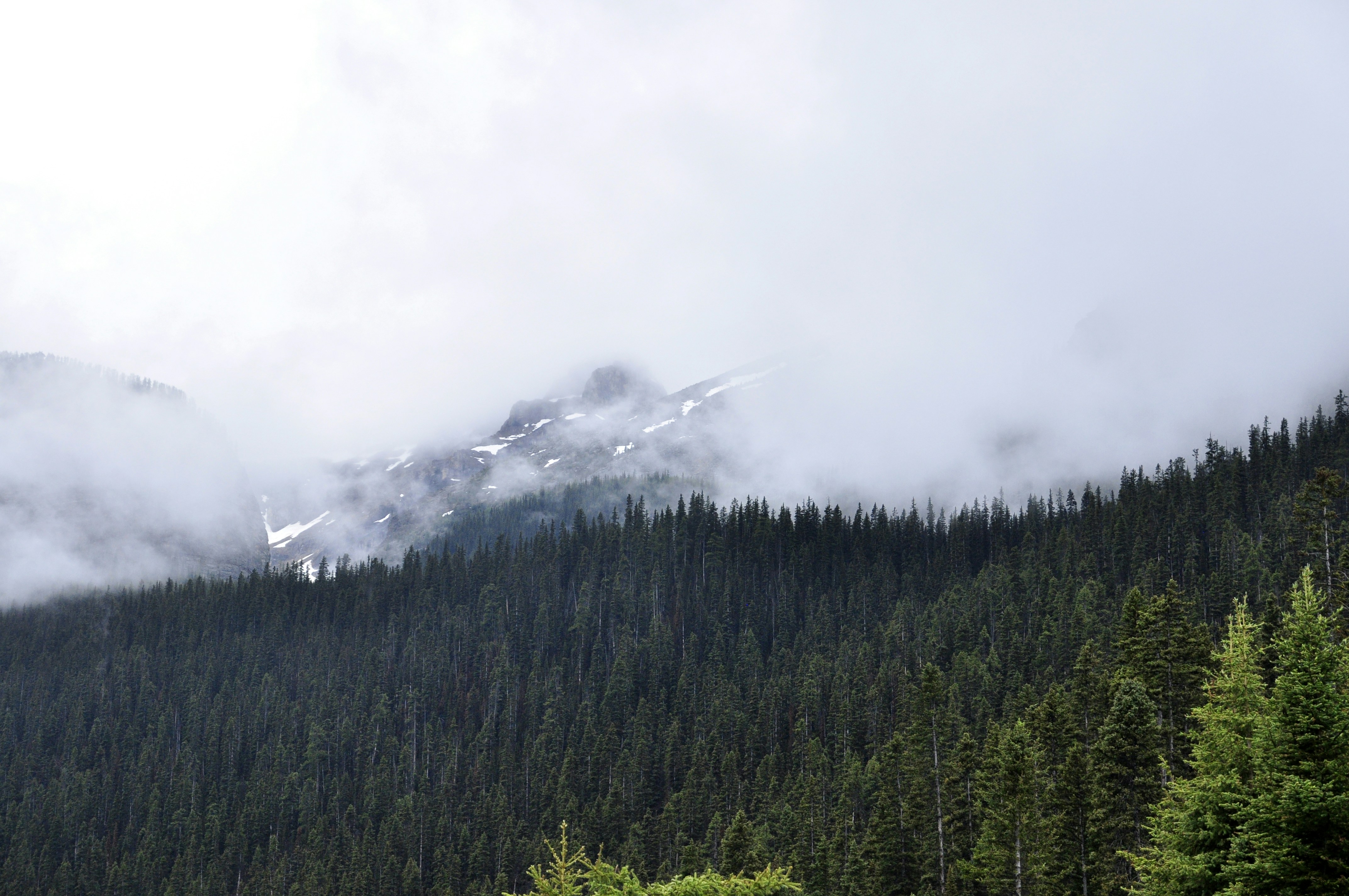 Photo by clementfusil