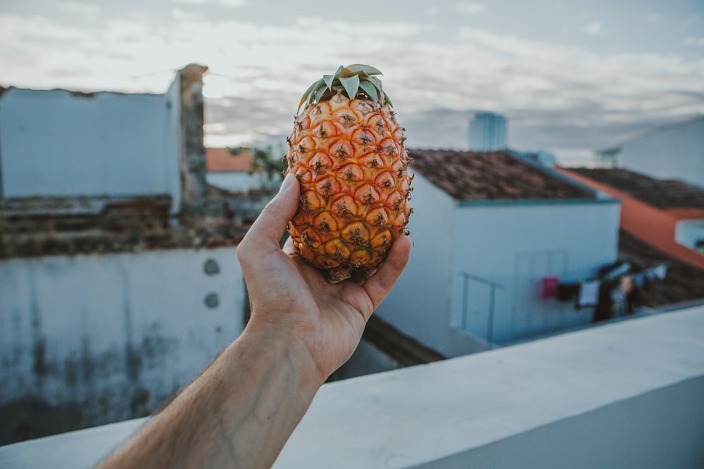 person holding pineapple